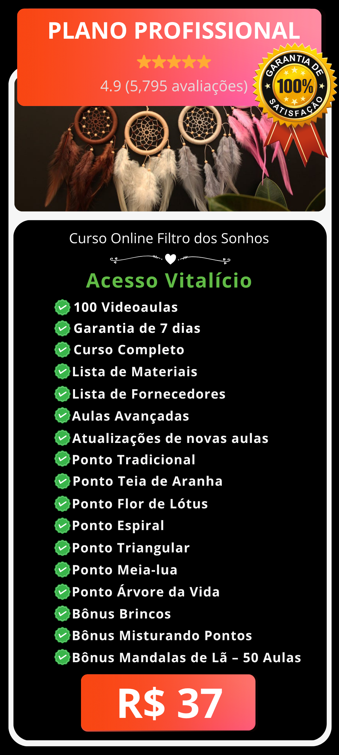 Plano Profissional